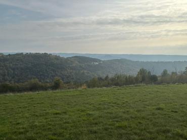 Zemljište s projektom za izgradnju 1- 3 luksuzne vile s bazenom i  pogledom na Motovun