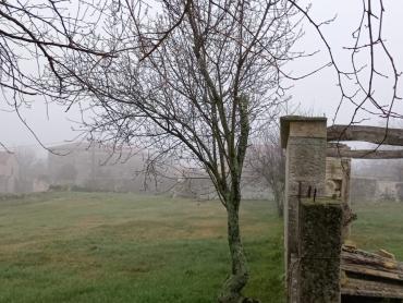 Kuca sa velikim građevinskim terenom
