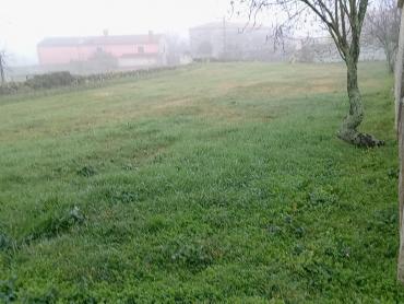 Kuca sa velikim građevinskim terenom