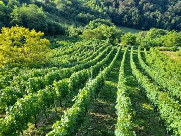 KUĆA ZA ODMOR IZMEĐU KRAPINSKIH I TUHELJSKIH TOPLICA