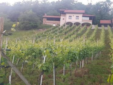 KUĆA ZA ODMOR IZMEĐU KRAPINSKIH I TUHELJSKIH TOPLICA