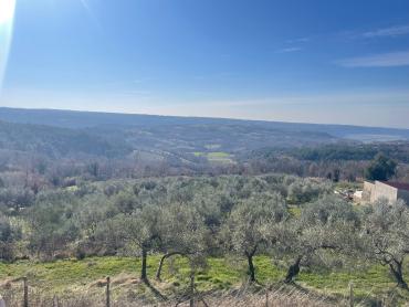 DIVOTA OD ŽIVOTA - bajkovita Istra