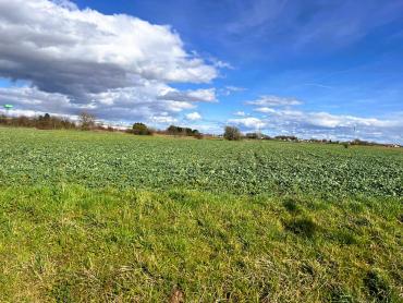 Velika građevinska parcela na Južnoj obilaznici Varaždina – 14.261 m²!