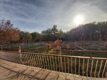Kuća s dva stana i 8300 m² građevinskog zemljišta