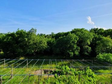 Kuća s dva stana i 8300 m² građevinskog zemljišta