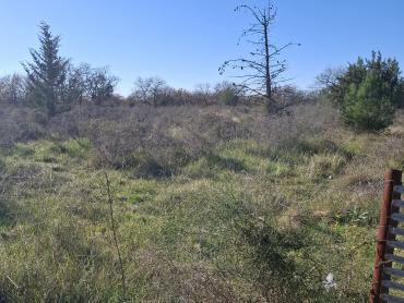 Terreno edificabile Suhovare, Poličnik, 4.161m2