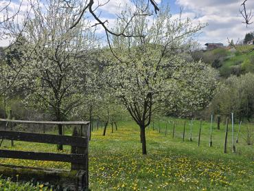 Nezavršena kuća za odmor
