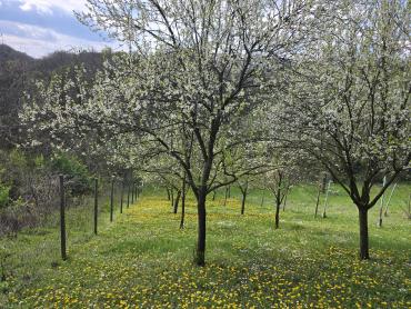 Nezavršena kuća za odmor
