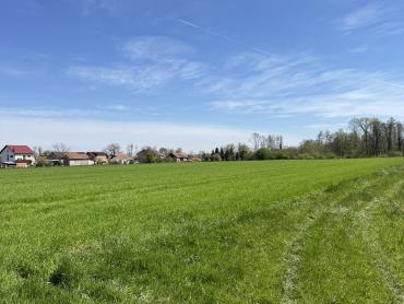 PREKRASNO GRAĐEVINSKO ZEMLJIŠTE- POVOLJNO 