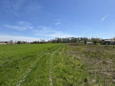 PREKRASNO GRAĐEVINSKO ZEMLJIŠTE- POVOLJNO 