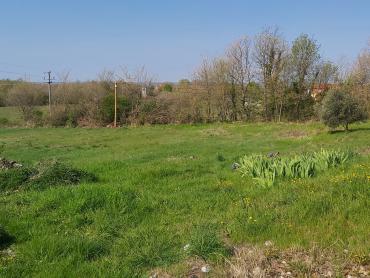 Opportunità di Ristrutturazione: Casa con Ampio Terreno Edificabile e Vista sulla Natura – Vicinanze di Labin