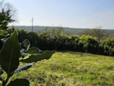  Kamena kuća i dvije konobe za uređenje po želji
