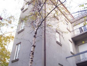 Lux salonska kuća u centru
