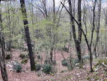 Matulji -10471m2,teren za više obiteljskih kuća
