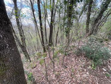 Matulji -10471m2,teren za više obiteljskih kuća
