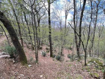 Matulji -10471m2,teren za više obiteljskih kuća