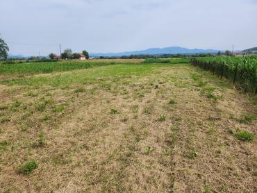 Poljoprivredno zemljište 1.014m² nadomak Marije Bistrice