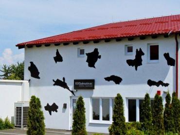 Albergo Centar, Vukovar, 252m2
