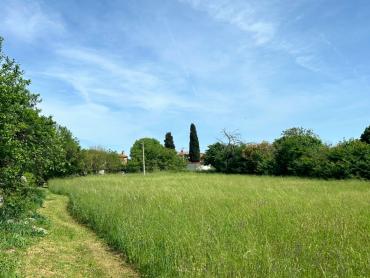 BARBAN – atraktivno zemljište, asfaltni prilaz, infrastruktura 