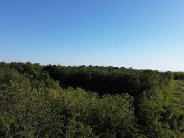 PROSTRANO POLJOPRIVREDNO ZEMLJIŠTE