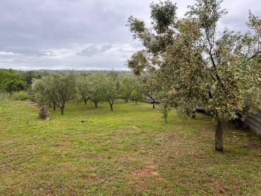 SAMO KOD NAS! GRAĐEVINSKO ZEMLJIŠTE 1,5 km OD MORA