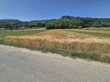 Poljoprivredno zemljište 1.755m² nadomak Sv. Križa Začretja!