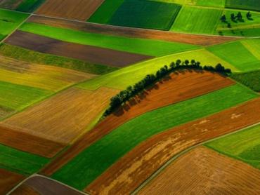 Zemědělská půda Sveti Rok, Lovinac, 700m2