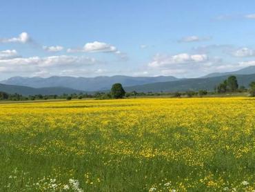 Stavební pozemek Sveti Rok, Lovinac, 2.349m2